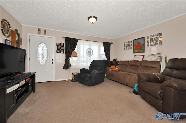 carpeted living room with a textured ceiling and crown molding