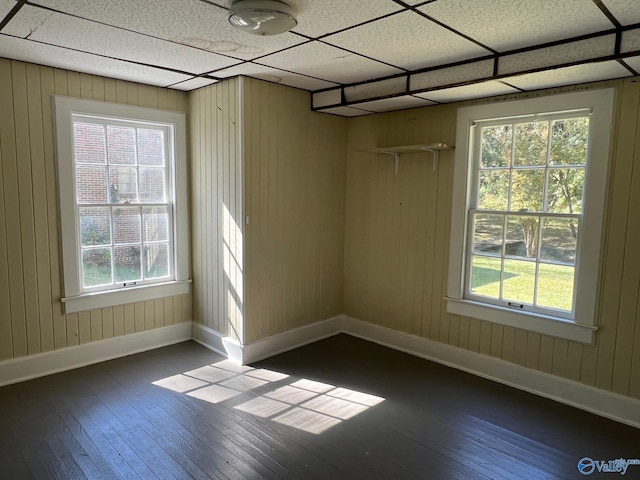 spare room featuring dark wood-type flooring, a healthy amount of sunlight, and wood walls