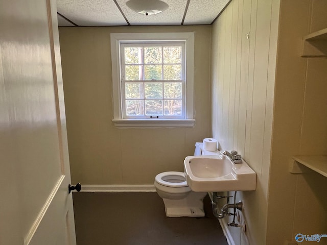 bathroom featuring sink, a drop ceiling, toilet, and wood walls