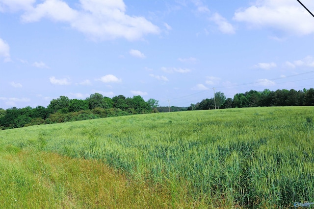 Listing photo 3 for 24.8ACRES Sharpton Rd, Cullman AL 35055