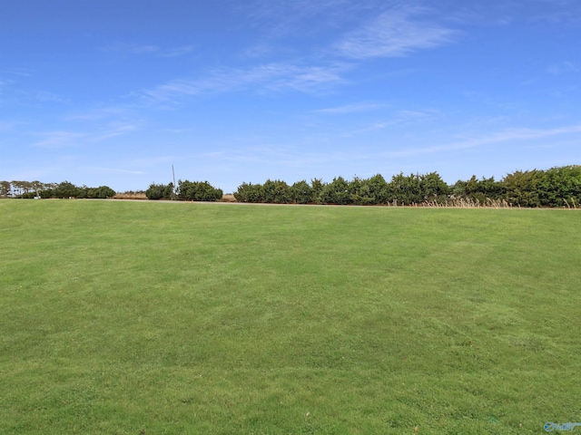 view of yard featuring a rural view