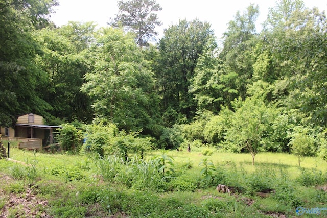 view of tree filled area