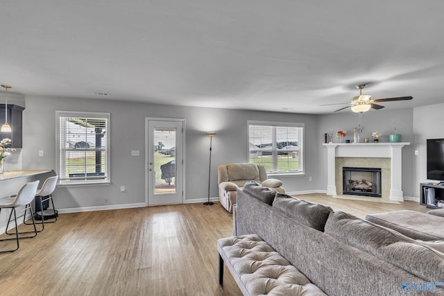 living room featuring a fireplace, a wealth of natural light, and light wood-type flooring