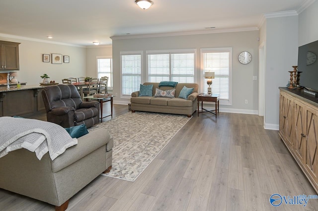 living room featuring light hardwood / wood-style floors and ornamental molding