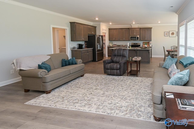 living room with sink, wood-type flooring, and ornamental molding