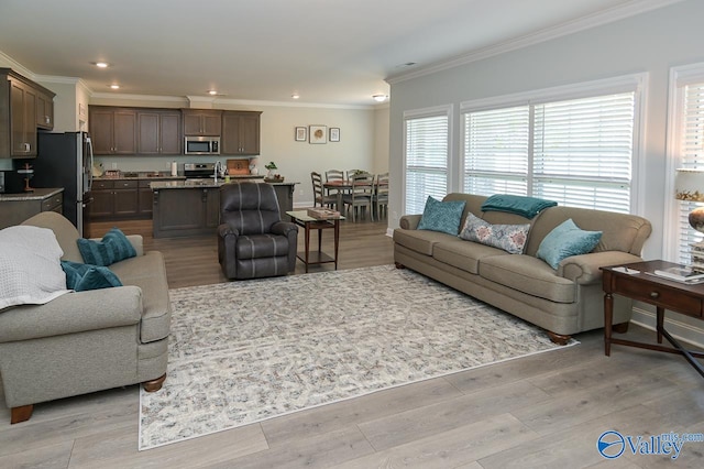 living room with light hardwood / wood-style floors and crown molding