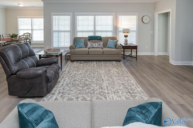 living room featuring a wealth of natural light, crown molding, and light hardwood / wood-style floors