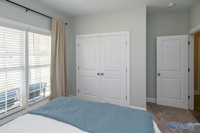 carpeted bedroom featuring a closet