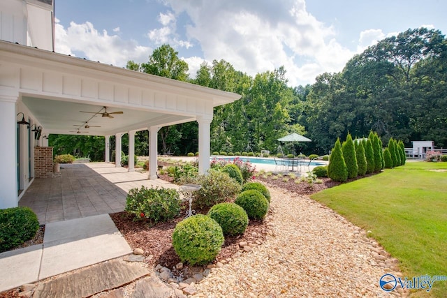view of yard featuring a patio, ceiling fan, and an outdoor pool