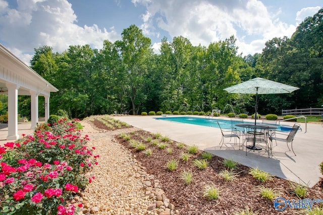 pool with a patio