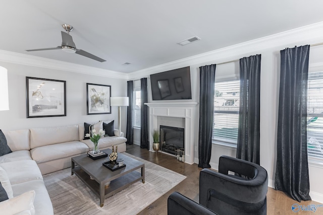 living room featuring hardwood / wood-style floors, plenty of natural light, ceiling fan, and ornamental molding