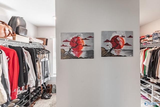 spacious closet featuring carpet floors