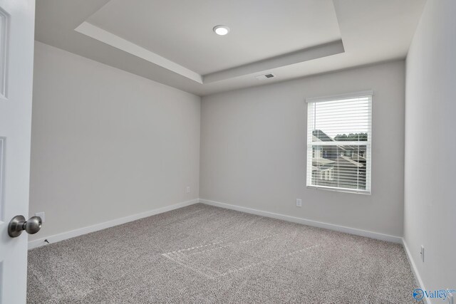 6208 Taramore Ln, Huntsville, AL 35806 - spare room featuring carpet, a raised ceiling, and baseboards