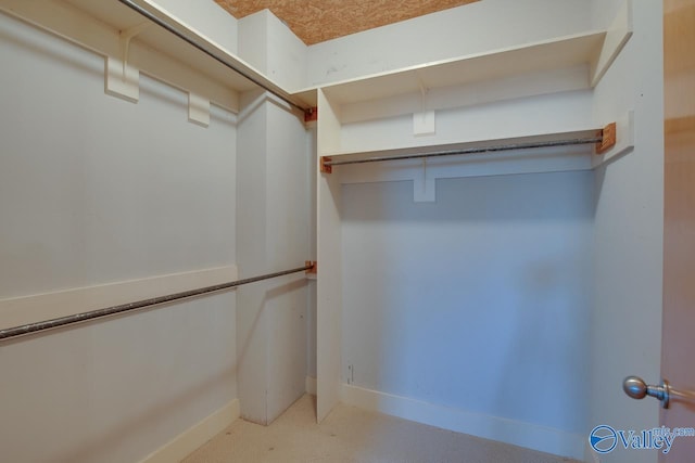 view of walk in closet