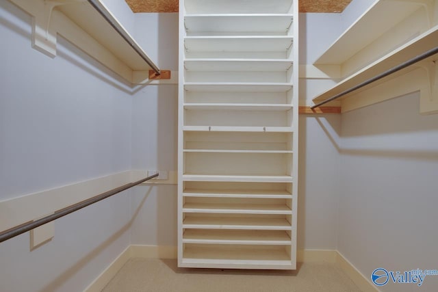 walk in closet featuring carpet