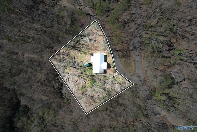 839 Bow Range Rd, Guntersville, AL 35976 - bird's eye view