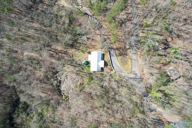 839 Bow Range Rd, Guntersville, AL 35976 - bird's eye view