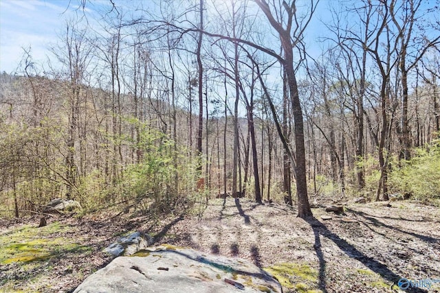 839 Bow Range Rd, Guntersville, AL 35976 - view of local wilderness featuring a forest view