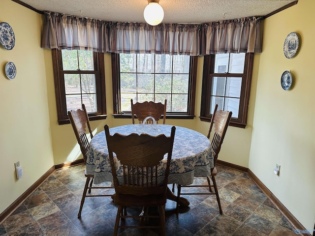 dining area featuring stone finish flooring, baseboards, and a textured ceiling