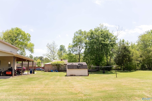 view of yard featuring a storage shed