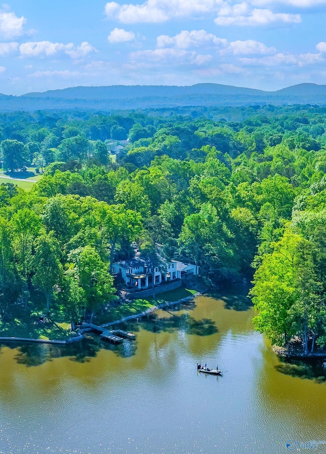 drone / aerial view with a water and mountain view