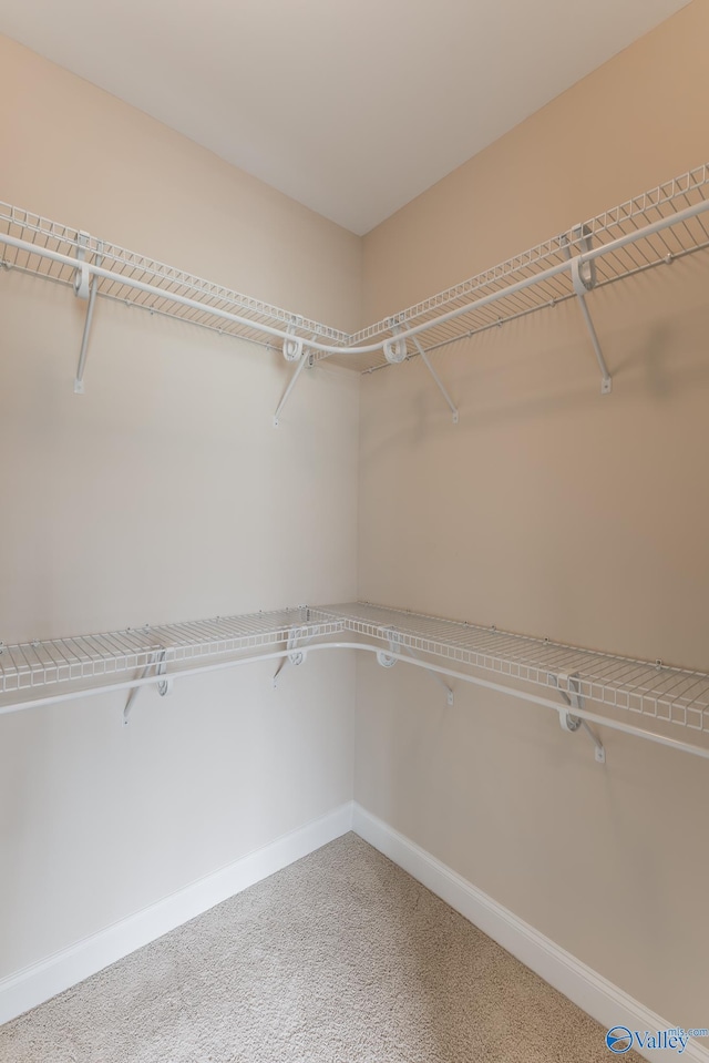 spacious closet with carpet floors