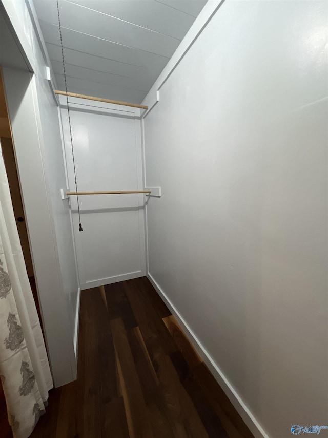 spacious closet featuring dark wood-style floors