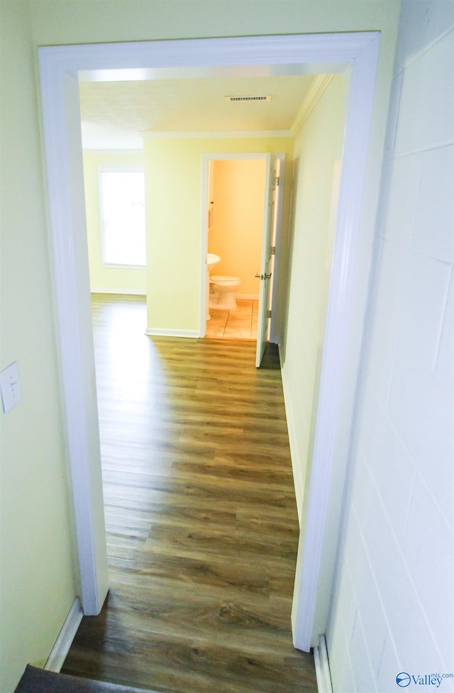 hall featuring ornamental molding and dark wood-type flooring