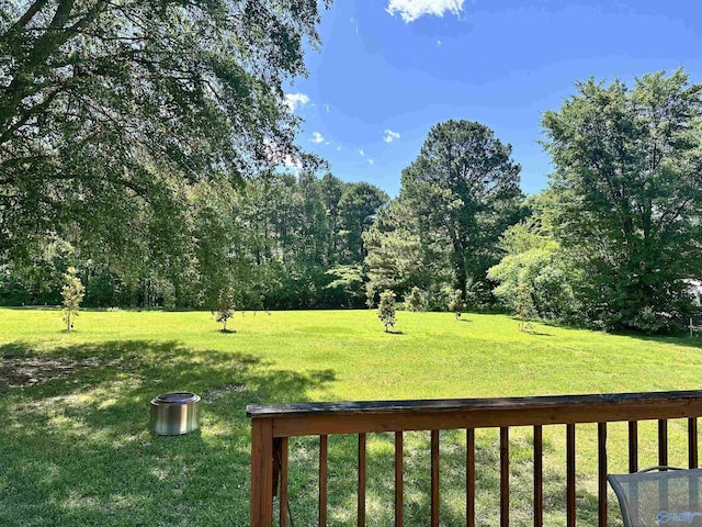 535 10th St NW, Arab, AL 35016 - view of grassy yard