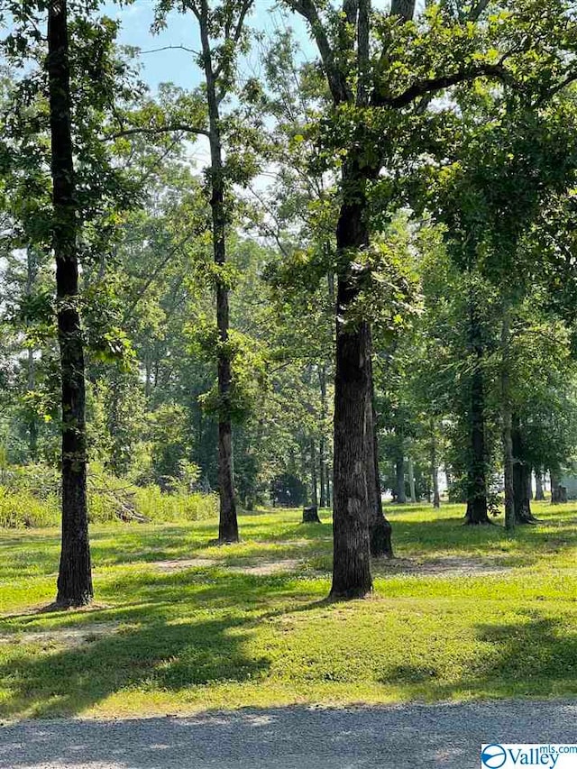 51LOT Woodmont Rd, Cedar Bluff AL, 35959 land for sale