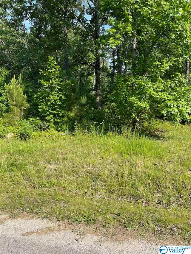 Listing photo 2 for 51LOT Woodmont Rd, Cedar Bluff AL 35959