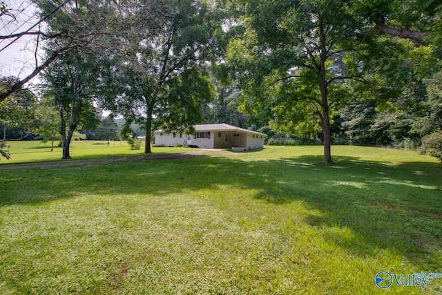 7615 Scottsboro Hwy, Scottsboro, AL 35769 - view of yard