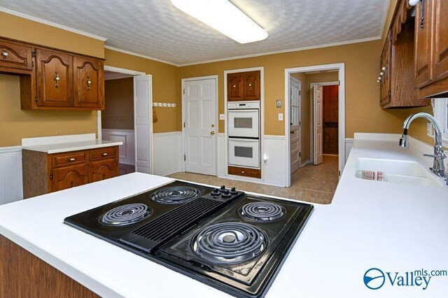 kitchen with white double oven, a sink, black electric stovetop, a wainscoted wall, and light countertops