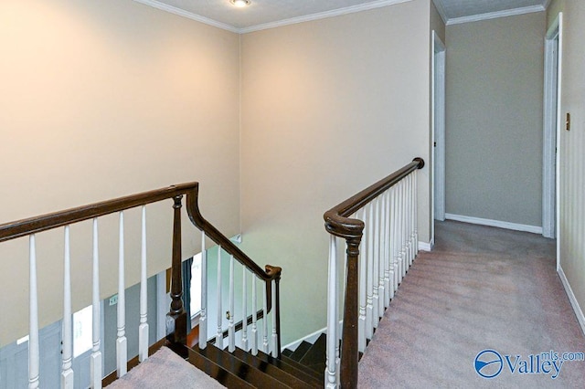 stairway featuring carpet flooring, crown molding, and baseboards