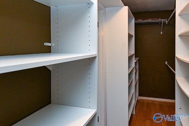 walk in closet featuring wood finished floors