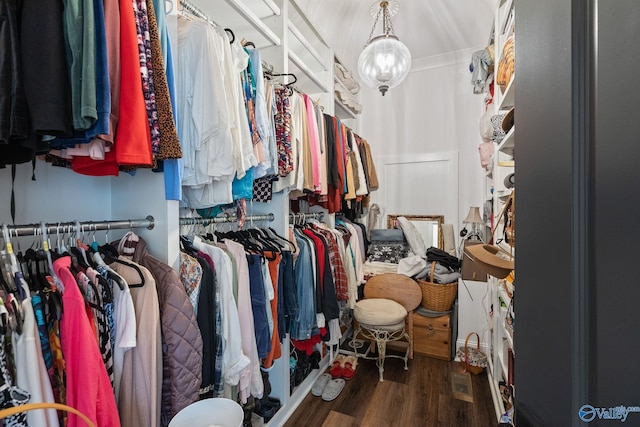 walk in closet with dark hardwood / wood-style floors