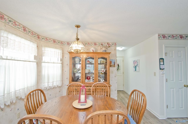 dining room with light hardwood / wood-style flooring and a textured ceiling