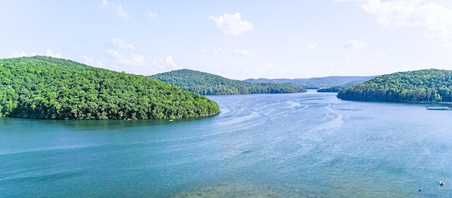 water view featuring a mountain view