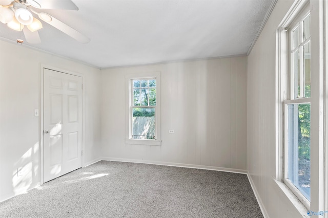 carpeted spare room with ornamental molding, a healthy amount of sunlight, and ceiling fan