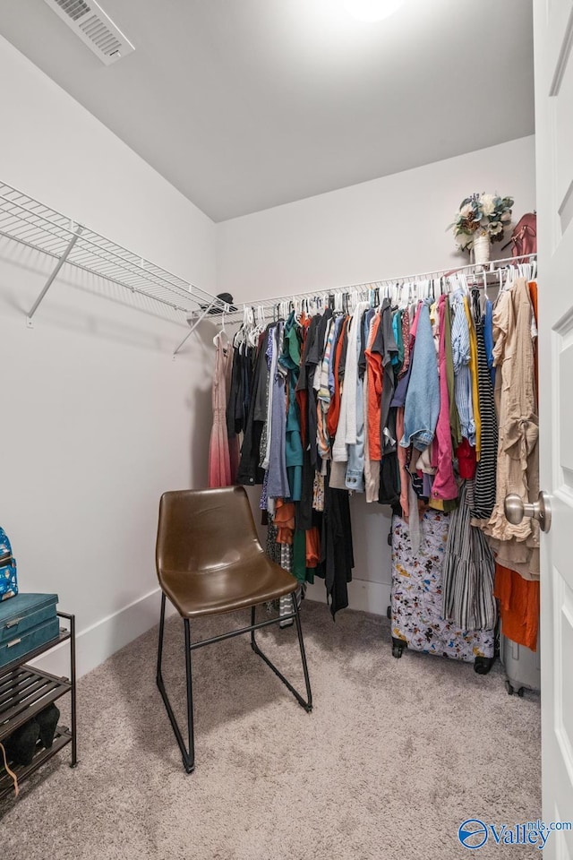 9130 Monteagle Blvd, Owens Cross Roads, AL 35763 - walk in closet featuring carpet floors