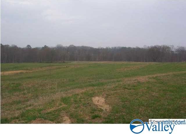 35AC Ellis Rd, Boaz AL, 35957 land for sale