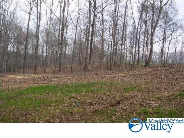 Listing photo 2 for 35AC Ellis Rd, Boaz AL 35957