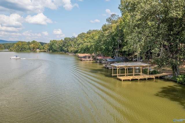 665 County Road 585, Cedar Bluff, AL 35959 - dock featuring a water view and a wooded view