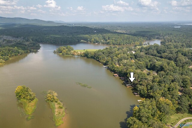 665 County Road 585, Cedar Bluff, AL 35959 - drone / aerial view of a forest and a water and mountain view