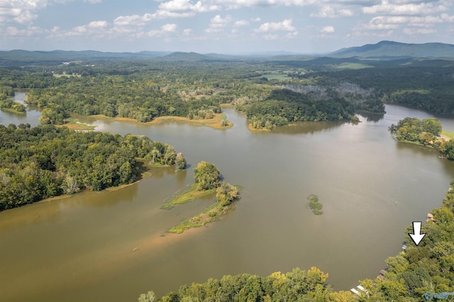 665 County Road 585, Cedar Bluff, AL 35959 - aerial view of a heavily wooded area and a water and mountain view