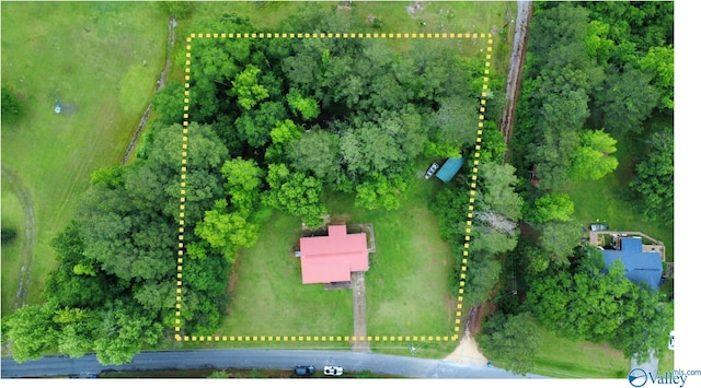 3185 Reeves Rd, Hokes Bluff, AL 35903 - aerial overview of property's location featuring property boundaries highlighted