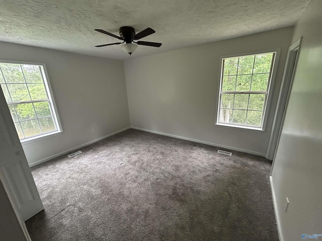 3185 Reeves Rd, Hokes Bluff, AL 35903 - empty room featuring baseboards, carpet, a ceiling fan, and a textured ceiling
