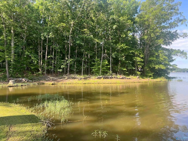 water view