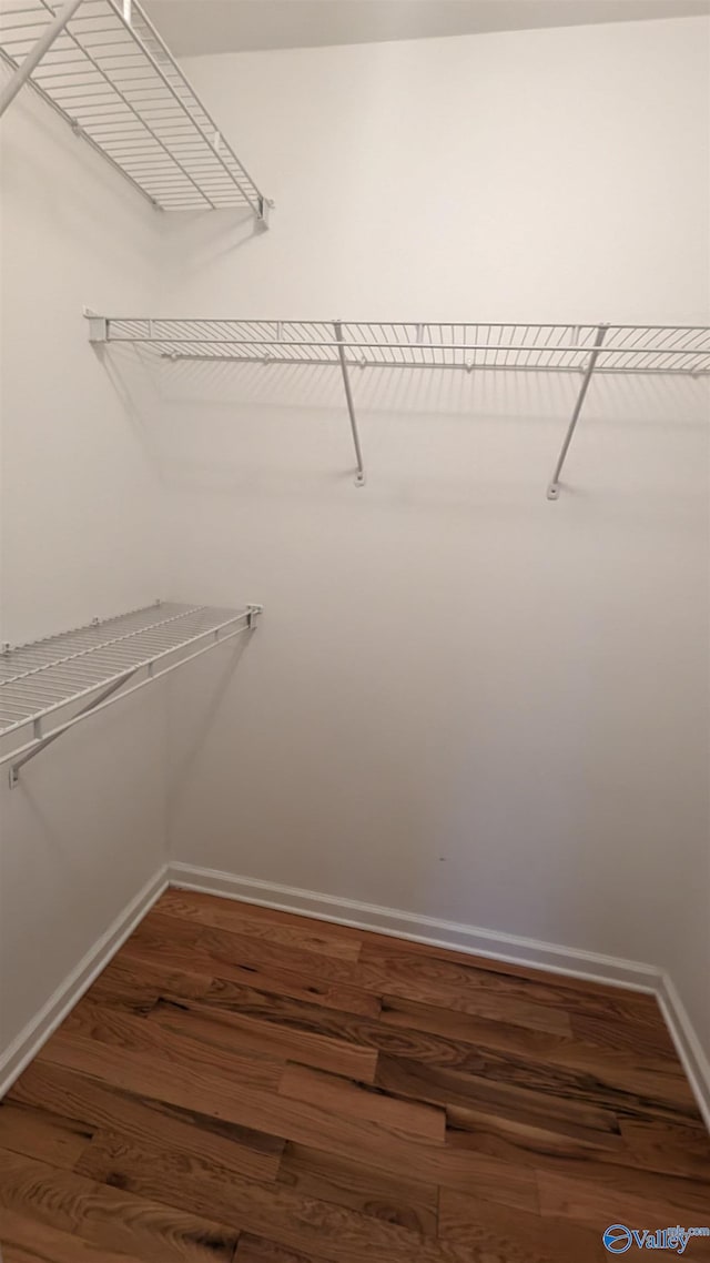 spacious closet with hardwood / wood-style floors