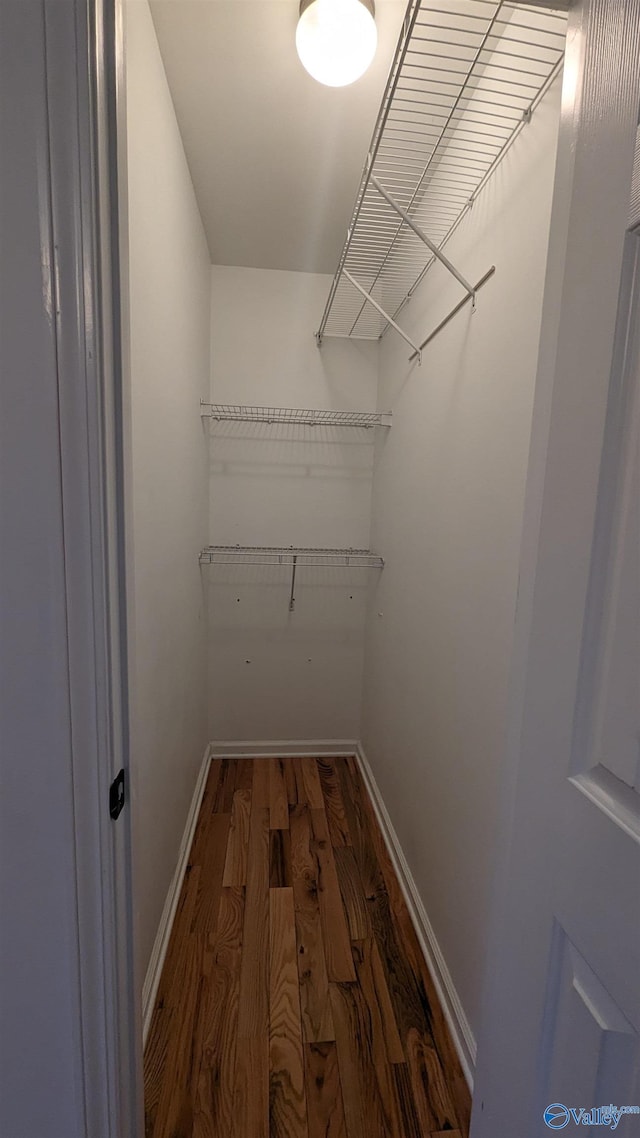 spacious closet featuring dark hardwood / wood-style floors